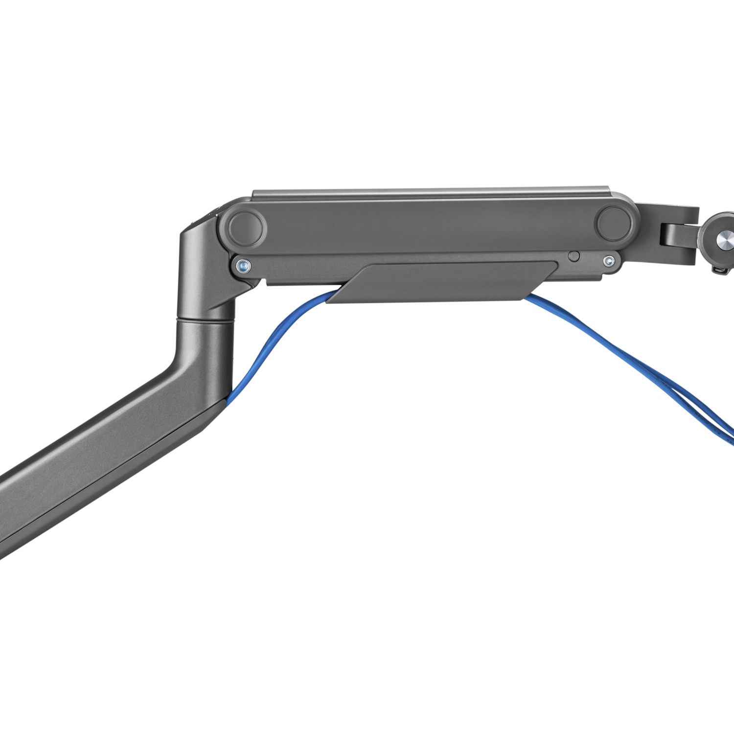 DIGITUS